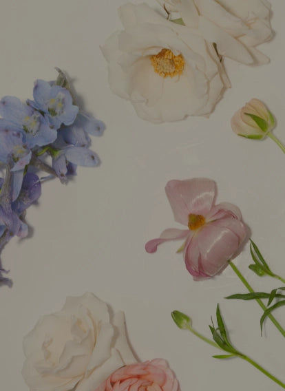 Several types of flowers on a cream background.